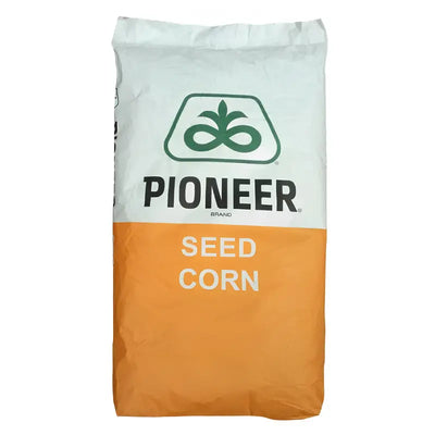 Seminte Porumb Pioneer P9889