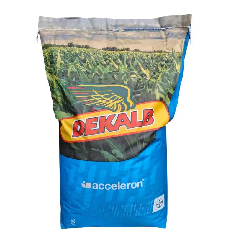 Dekalb Seminte Porumb DKC 4098