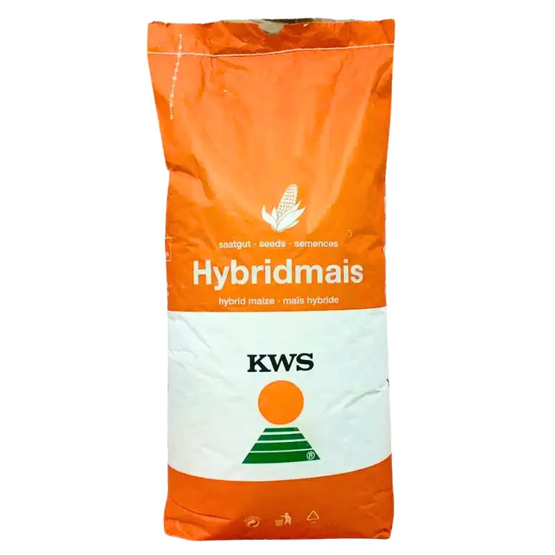 Hybridmais Seminte Porumb KWS MIKADO