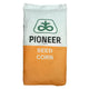 Seminte Porumb Pioneer P9889