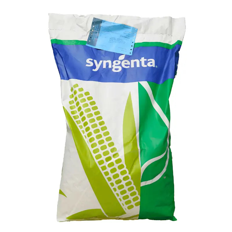 Seminte Porumb Syngenta Chorintos